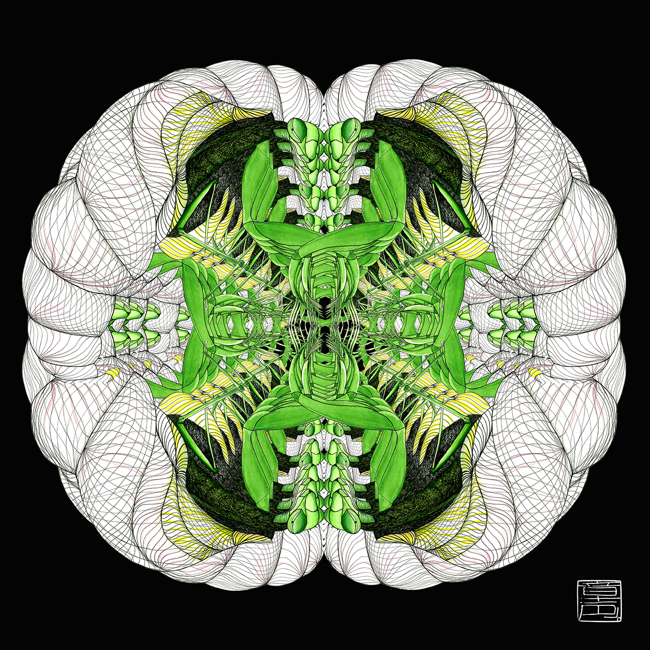 Cerebrum Mantidae