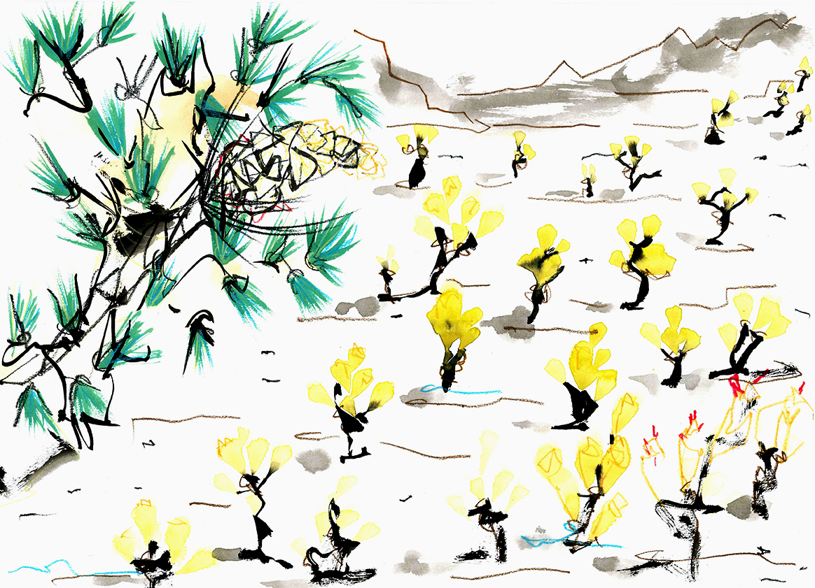 Joshua Tree