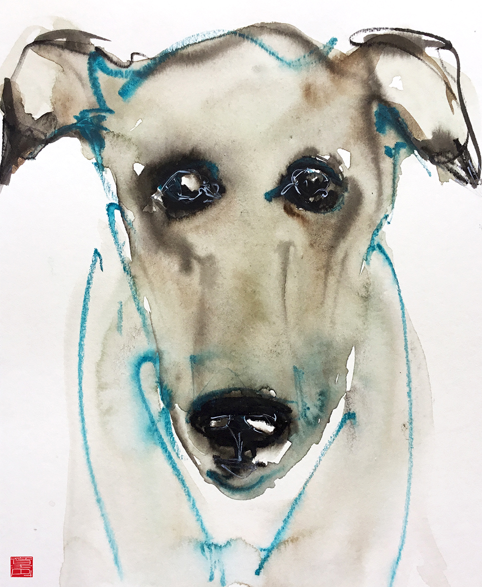 Dog face